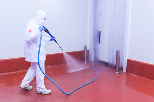 Boat and Dock Cleaning in Elon, NC